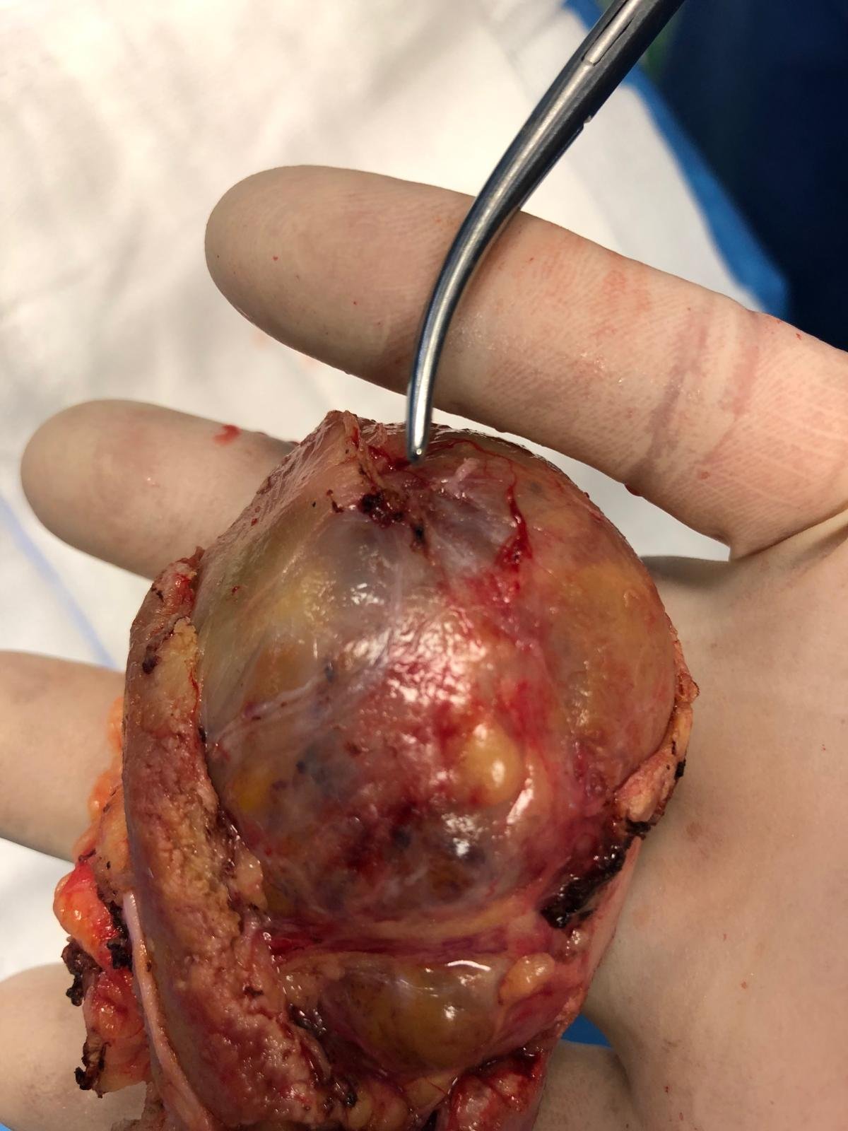 PHOTO-2025-12-12-16-41-06_3