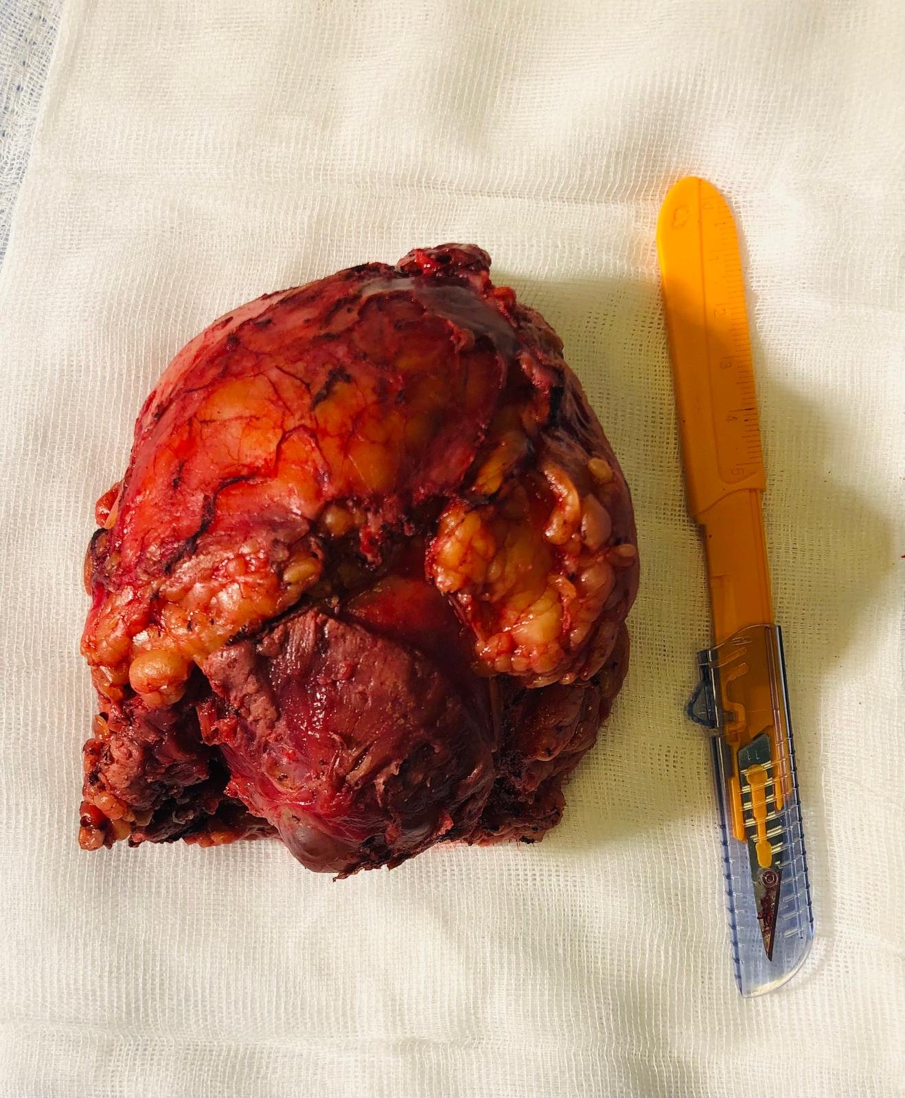 PHOTO-2025-12-12-16-41-06_4